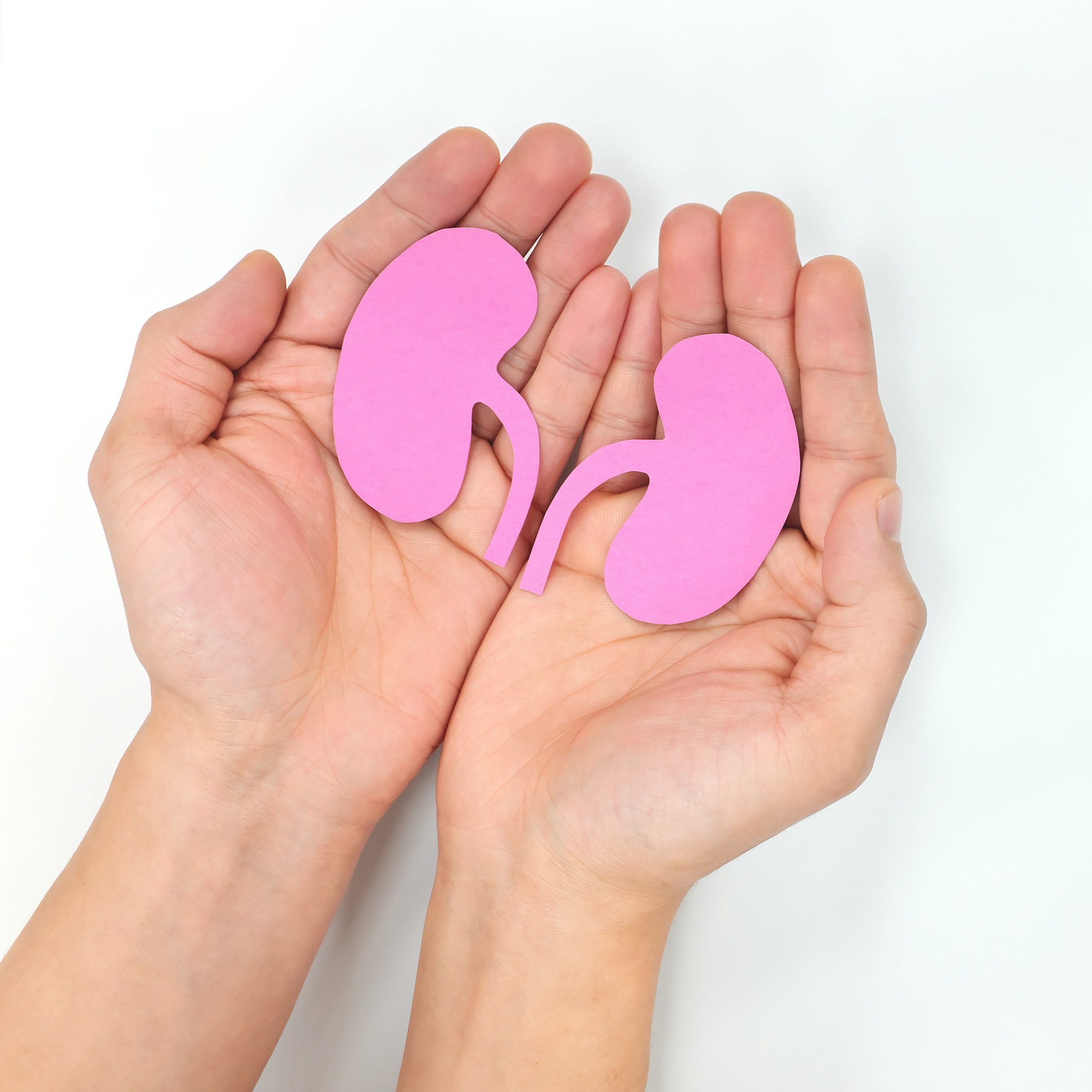 Hands holding paper cut-outs of kidneys
